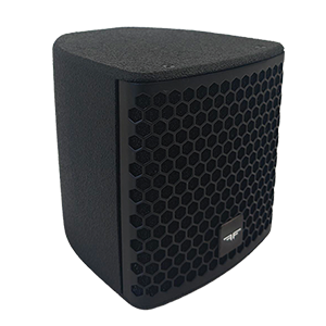 AUDIOFOCUS CX5 5" coaxial loudspeaker