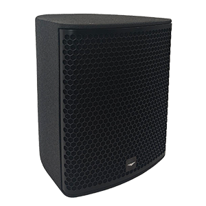 AUDIOFOCUS Cyris CX8 8" coaxial loudspeaker